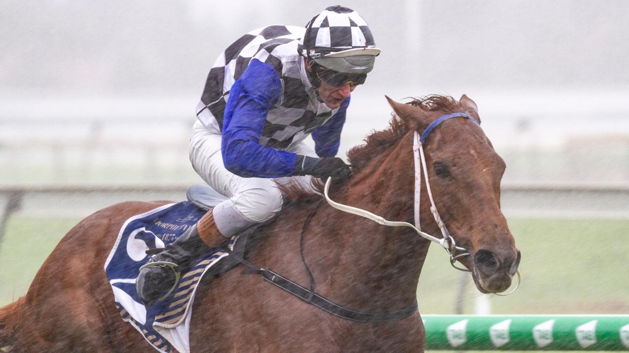 Paul Gatt on Not Usual Glorious at Morphettville. Picture: Atkins Photography