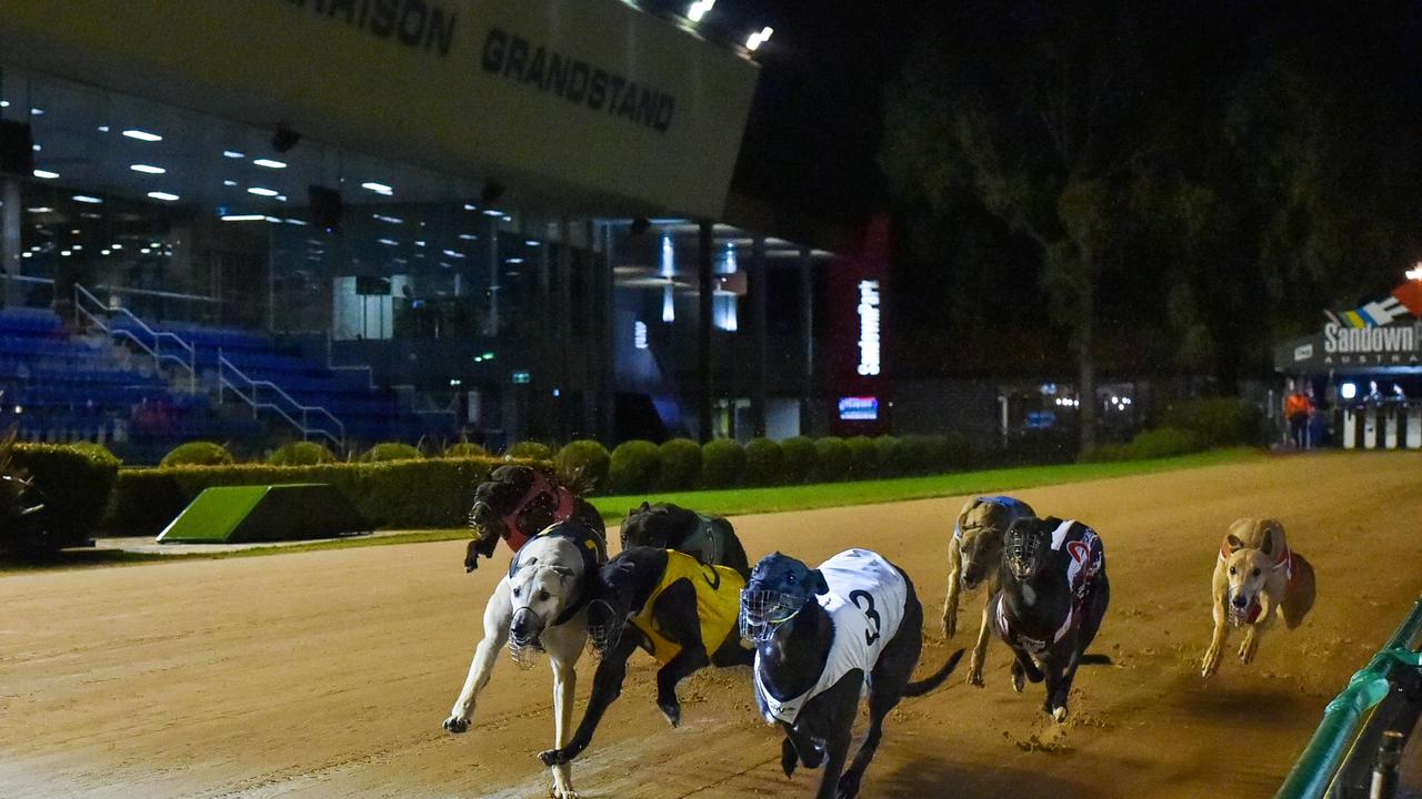 ST Greyhounds page. David Burnett’s brilliant sprinter Simon Told Helen winning this year’s Group 1 Harrison Dawson Final at The Meadows in Melbourne. Photo Credit: Clint Anderson.