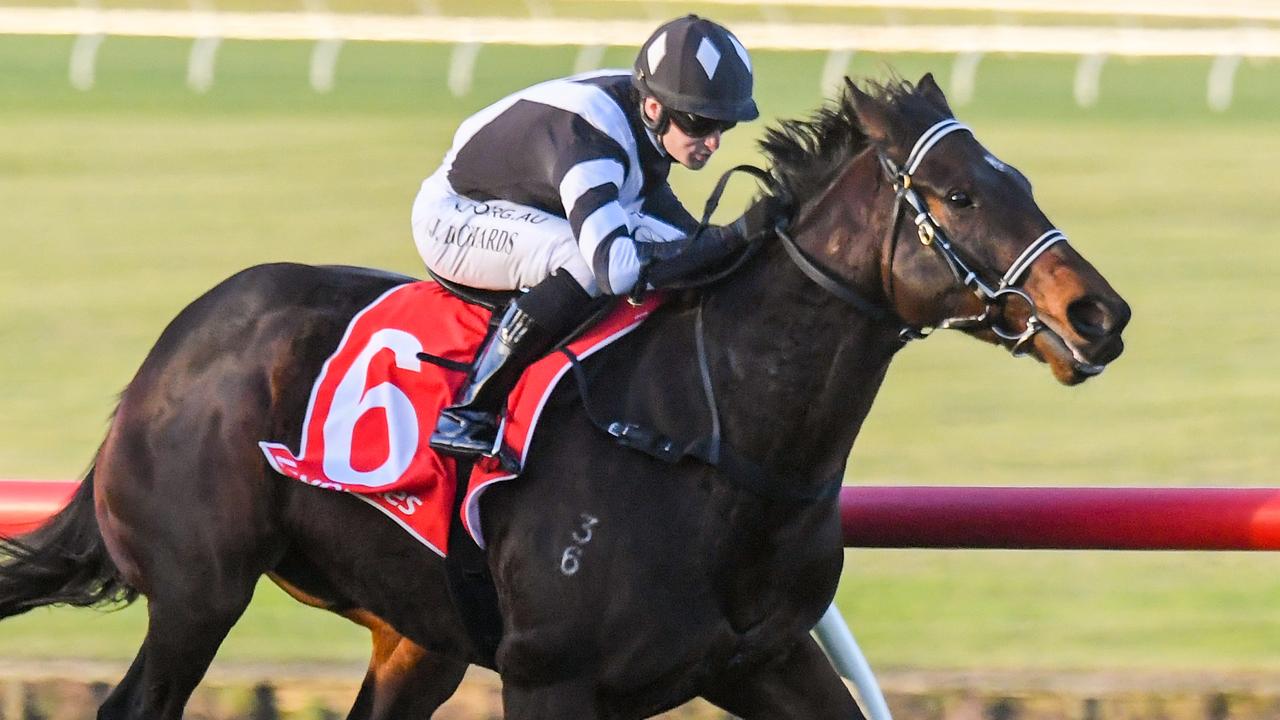 Contalmaison on his way to victory at Sandown last start in May. Picture: Racing Photos