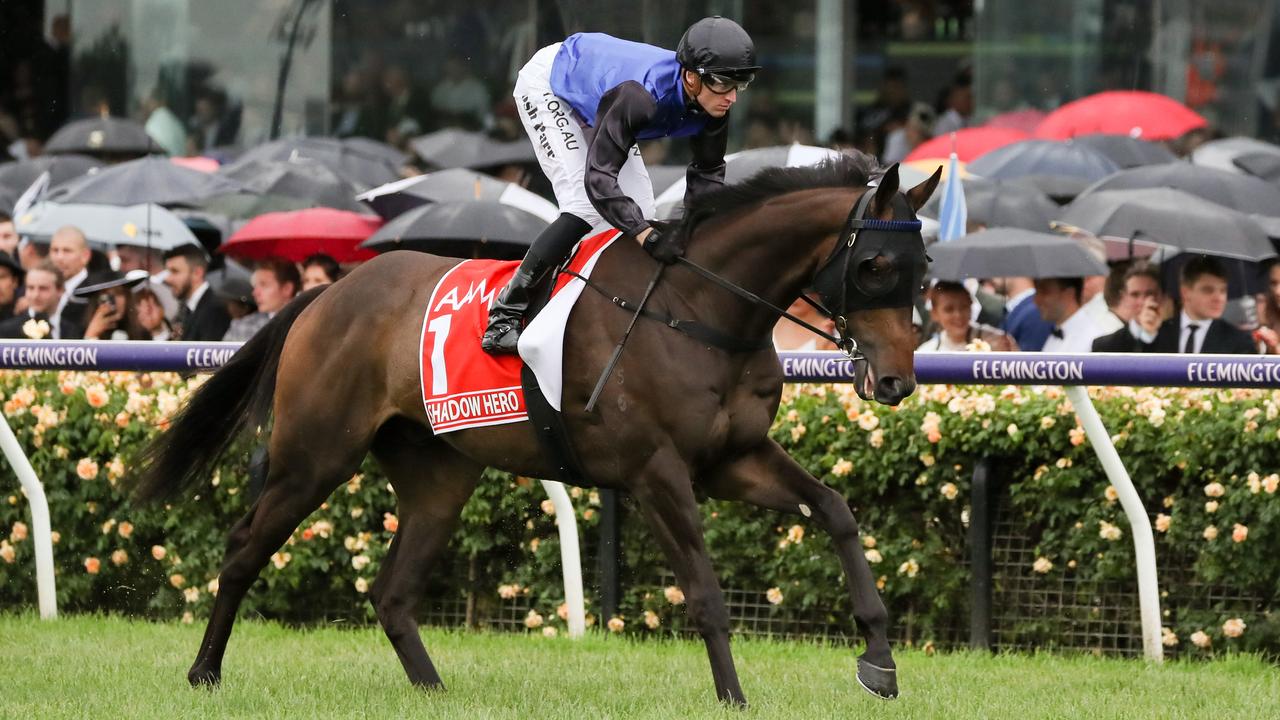 Newnham keeping Shadow Hero on ice for late targets - Vimarsana News