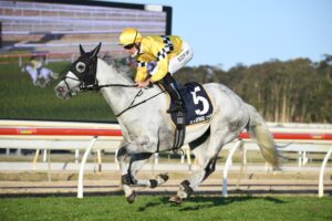 Berdibek prior to winning the Wyong Gold Cup. Photo: Steve Hart.