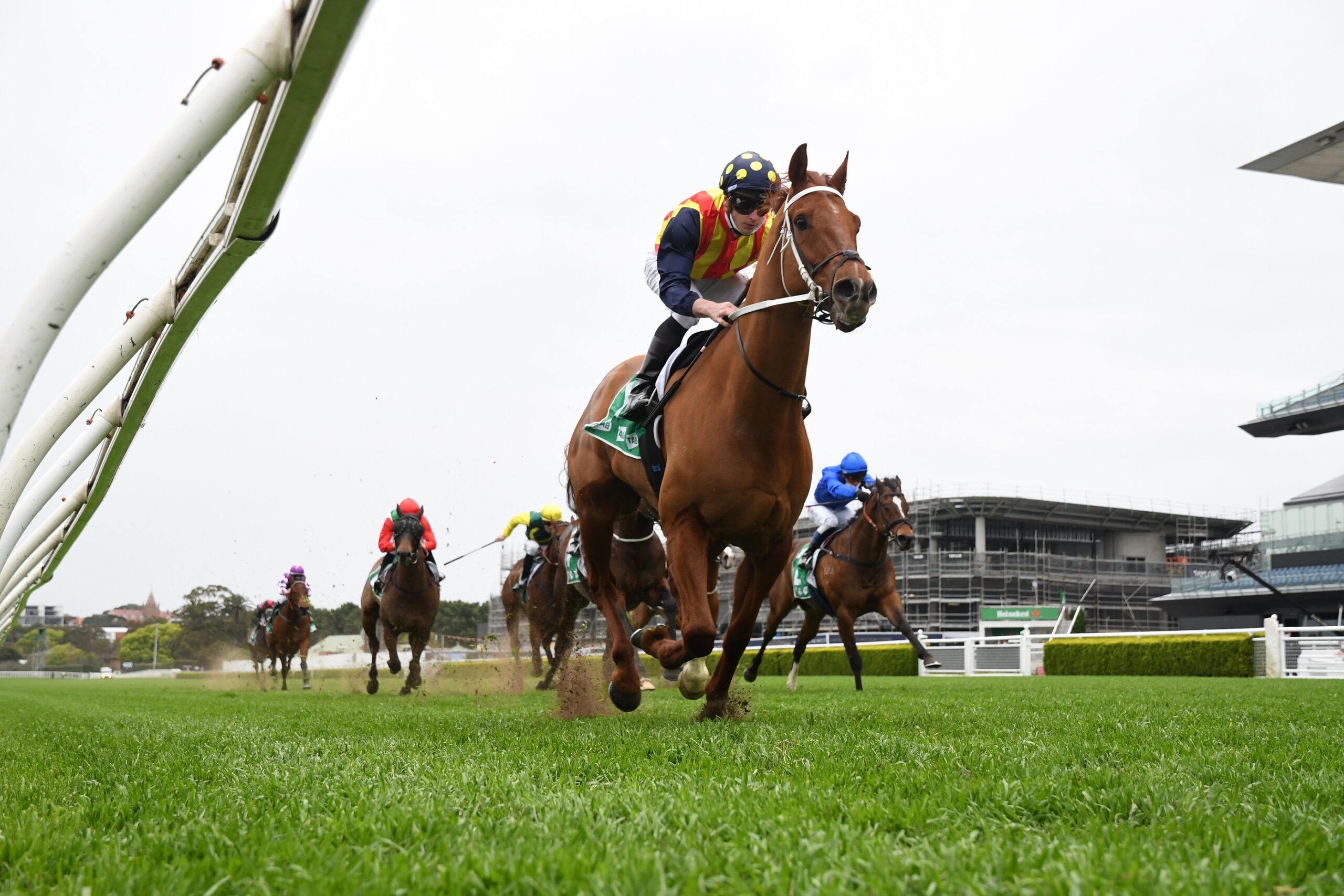 Nature Strip cruises to victory in the Concorde Stakes. Photo: Steve Hart.