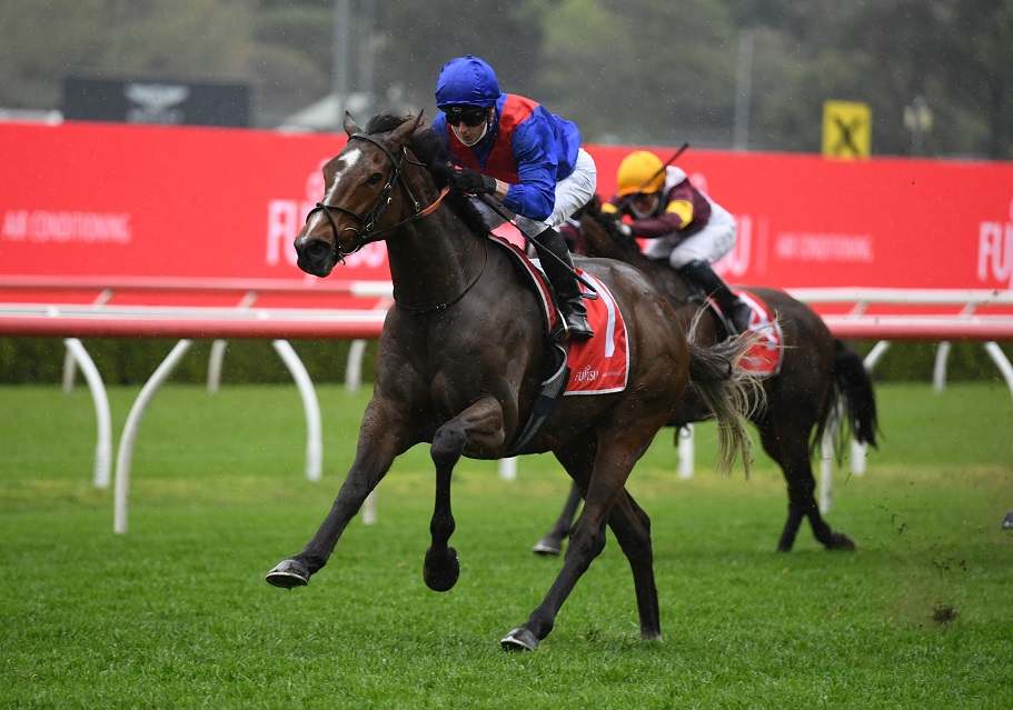 Zaaki strides to an easy win in the Tramway Stakes. Photo: Steve Hart.