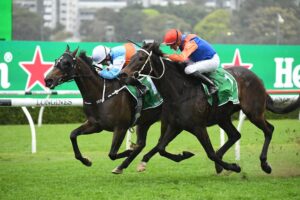 Think It Over (orange cap) edged out Riodini in the Chelmsford Stakes. Photo: Steve Hart. 