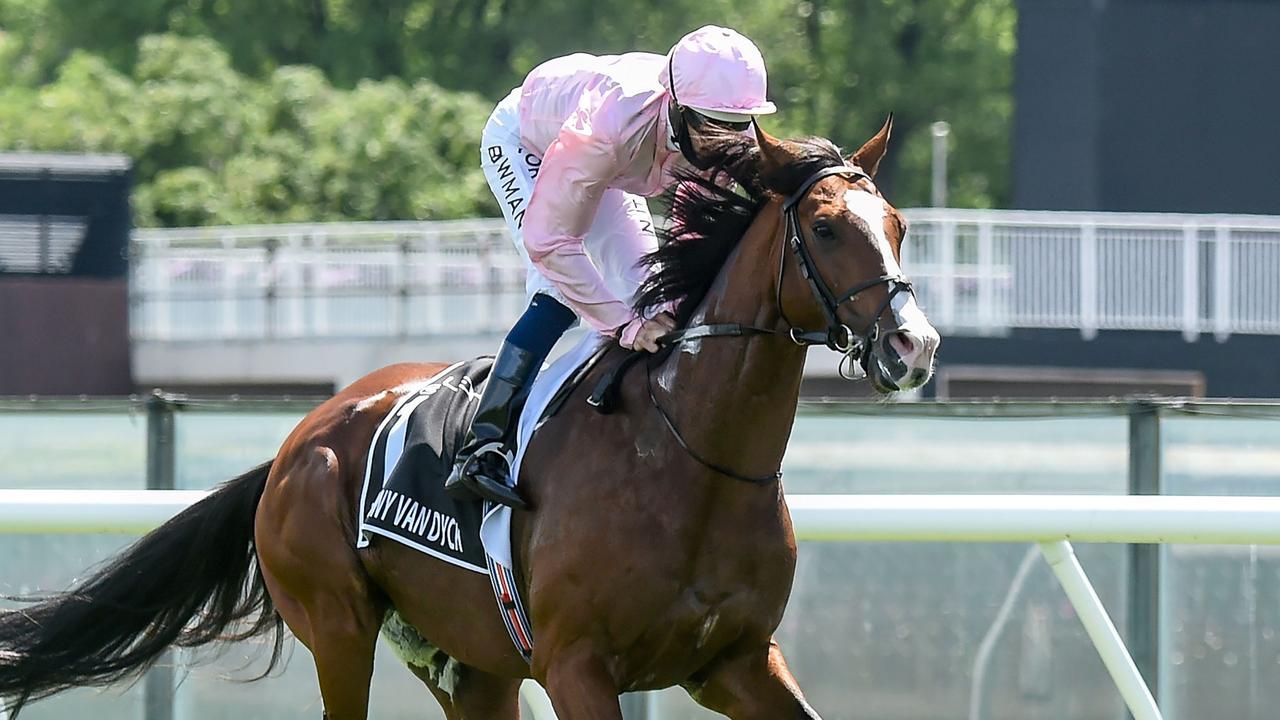 Anthony Van Dyck was euthanised after the Melbourne Cup. Picture: AFP