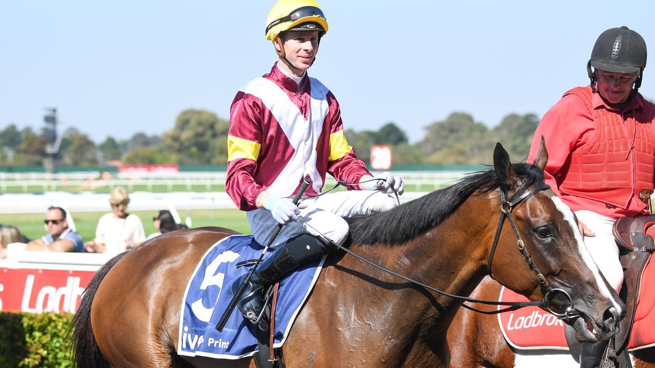 Steinem ridden by Jye McNeil returns to the mounting yard after a previous win at Sandown. Photo: Pat Scala/Racing Photos via Getty Images