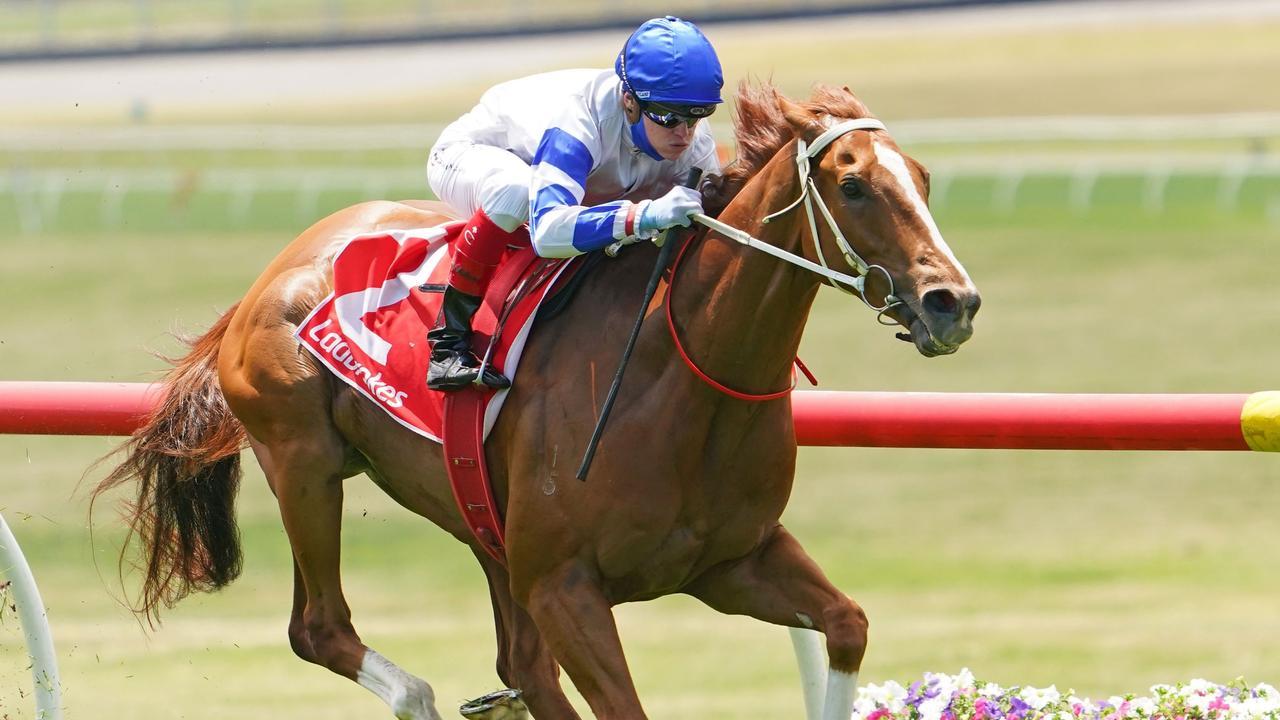 Kemalpasa winning at Morphettville. Photo: Scott Barbour/Racing Photos via Getty Images