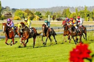 Autumn racing at Armidale Tuesday