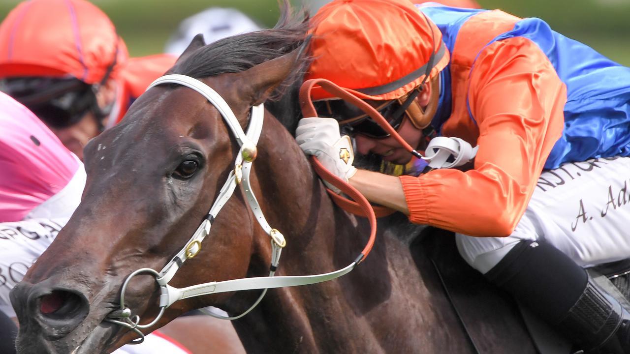 Think It Over is a leading chance in the Doncaster Mile. Picture: AAP