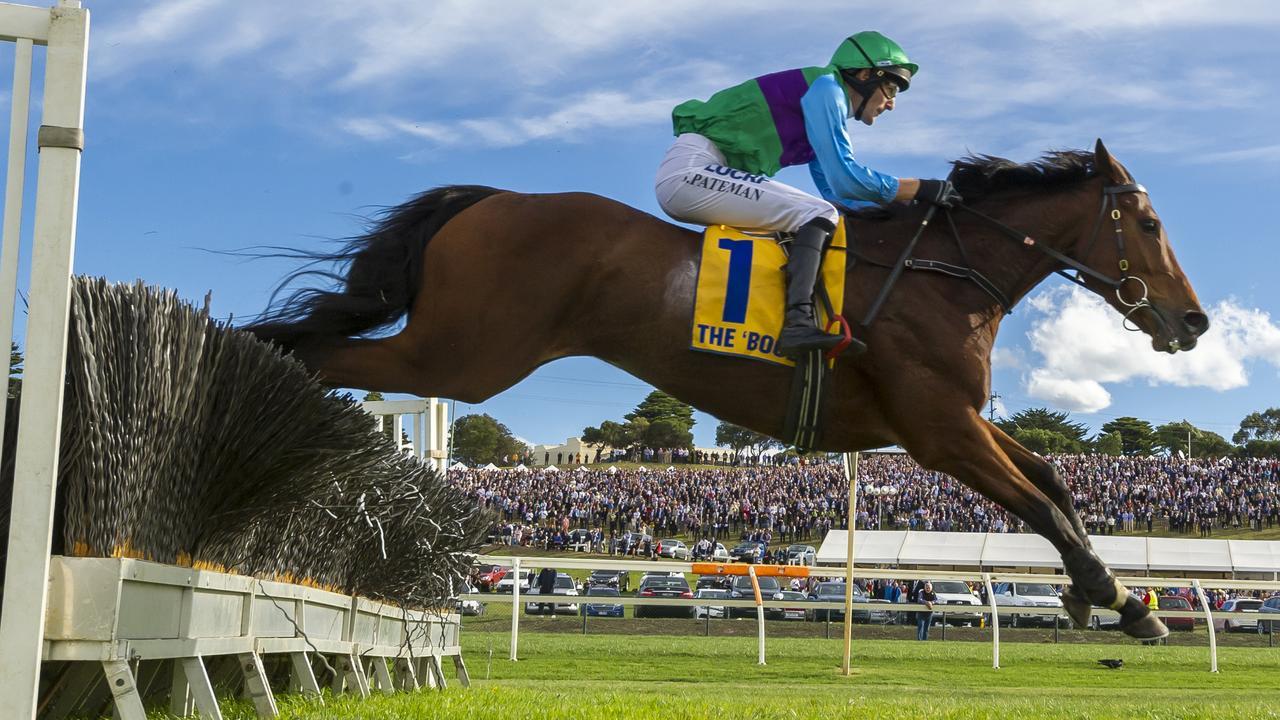 Zed Em will be hot favourite when he lines up for a third Great Eastern Steeplechase at Oakbank. Photo: Vince Caligiuri/Getty Images