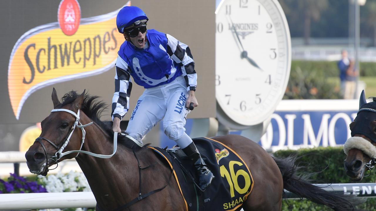 Shraaoh is looking to end a near two-year winning drought in the Tancred Stakes. Picture: AAP