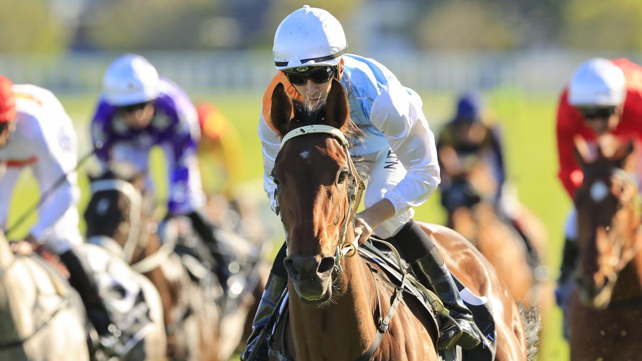 Montefilia is being set for the Derby and Oaks. Picture: Getty Images