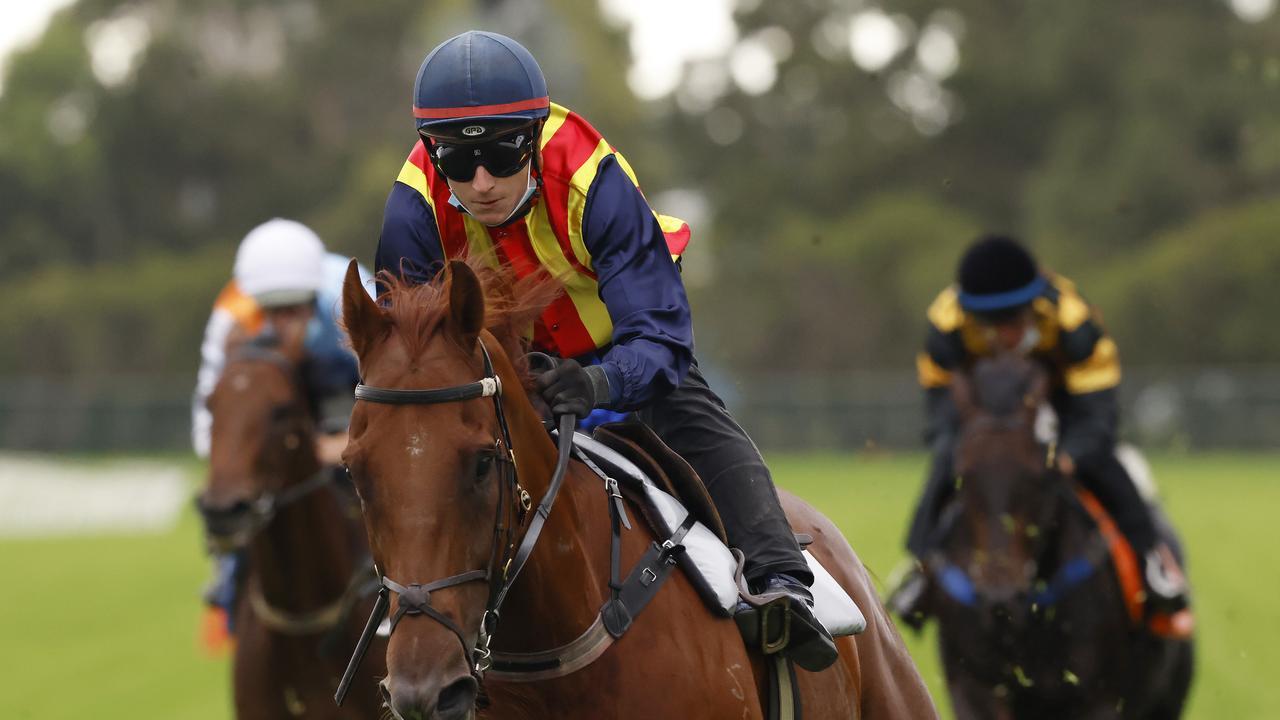 Nature Strip narrowly won a Rosehill trial on Monday. Photo: Mark Evans/Getty Images