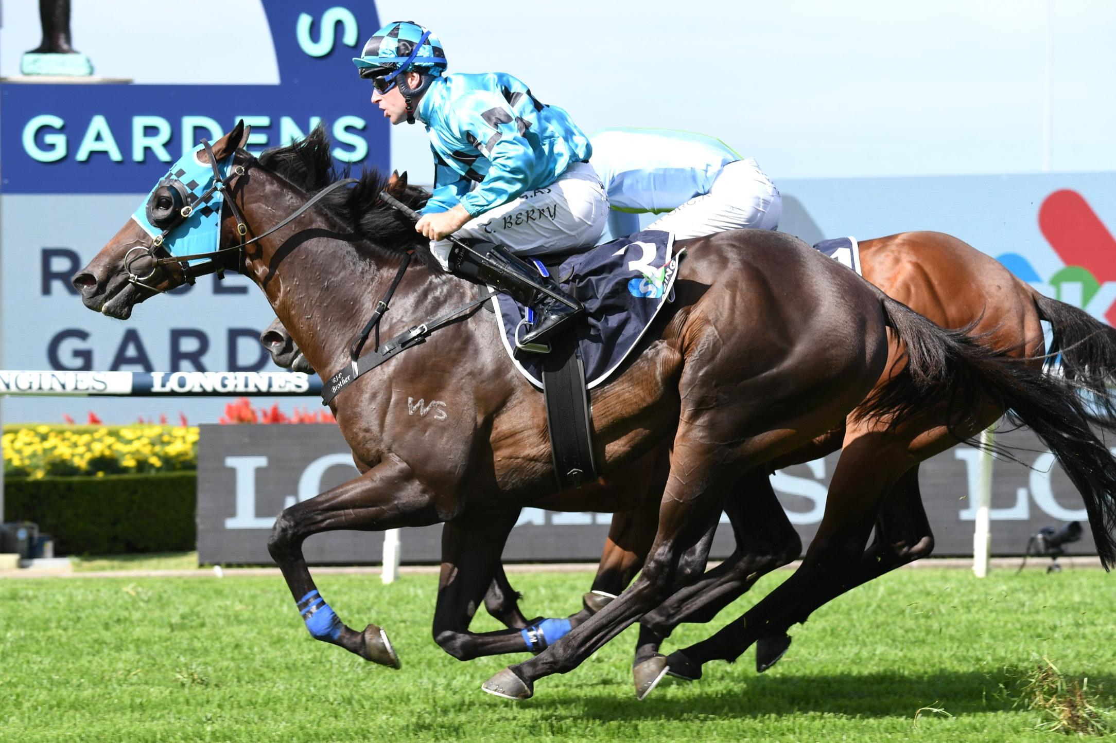 Mo’unga wins the Rosehill Guineas.