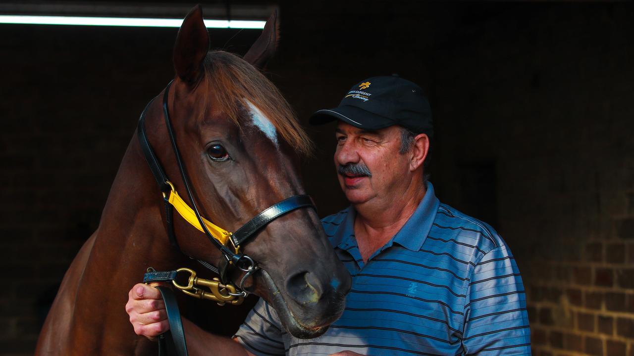 Golden Slipper contender Four Moves Ahead at trainer John Sargent’s stables at Randwick. Photo: Justin Lloyd.