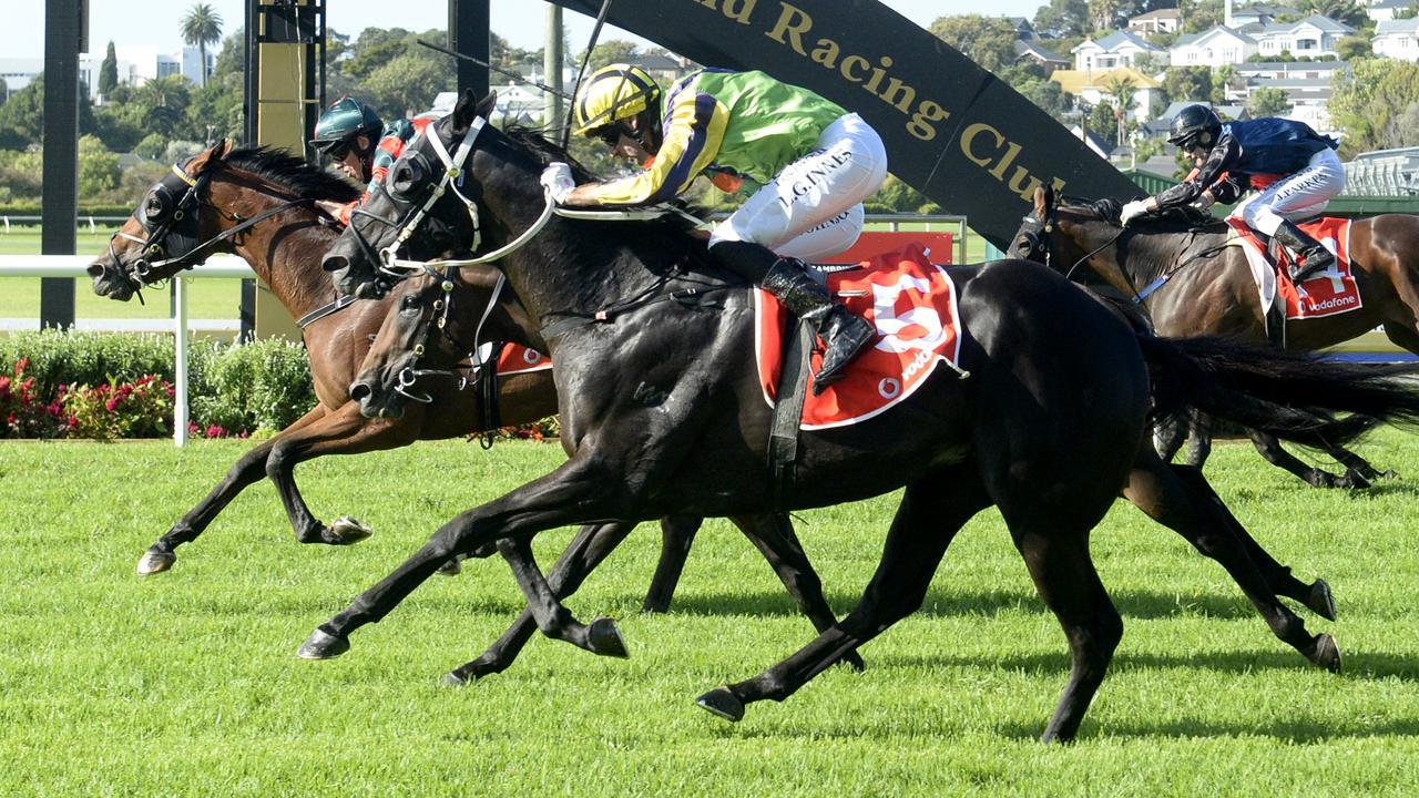 Milford (lime green) was second to Rocket Spade in the New Zealand Derby (2400m). Photo: Kenton Wright (Race Images)