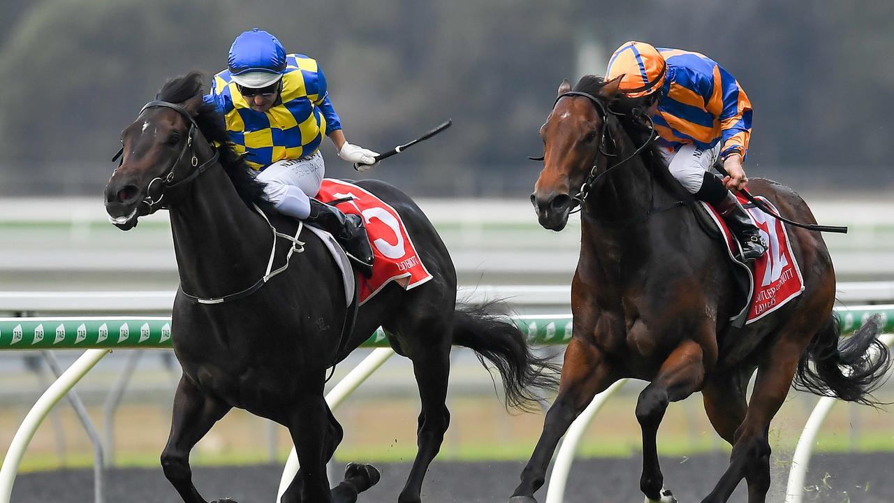 Brad Stewart winning on Kalik (left) at the Sunshine Coast. Photo: AAP Image/Albert Perez