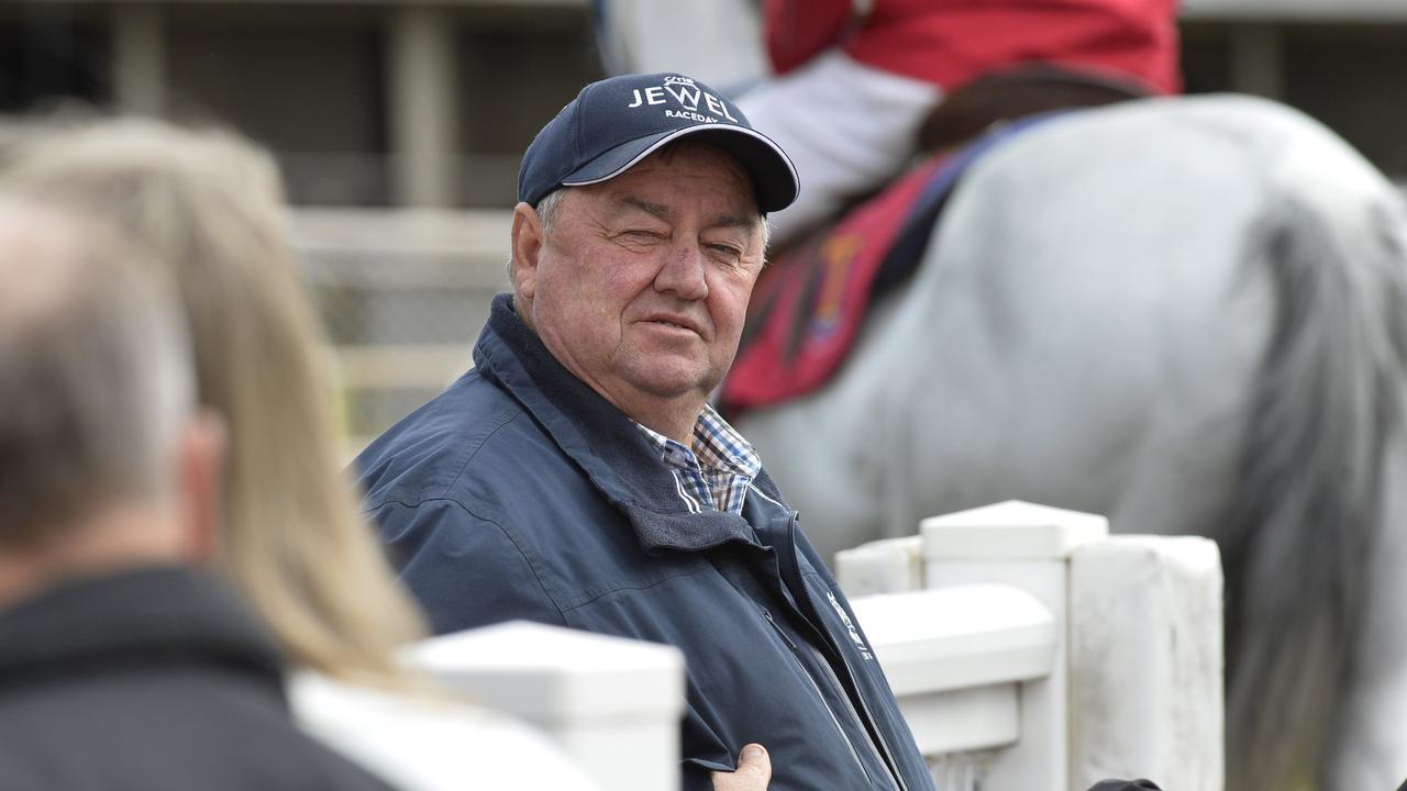 Trainer Kevin Kemp is confident of a bold showing from Alert and Ready at the Gold Coast.