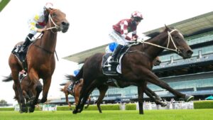 Rocket Tiger’s form is hard to fault heading into the Black Opal Stakes. Picture: Getty Images