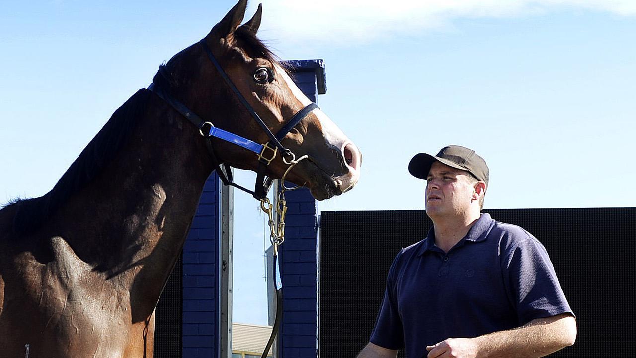 Grant Allard (pictured) can see no reason why Majestic Shot won’t win again at Goulburn on Thursday.