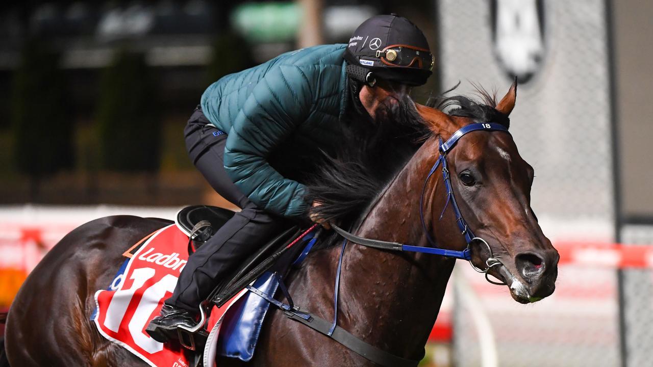 Champion jockey Damien Oliver rode All-Star Mile contender Russian Camelot in a track gallop at The Valley on Tuesday morning. Picture: Getty Images