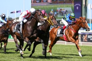 Zoutori (white cap) wins the Newmarket Handicap.