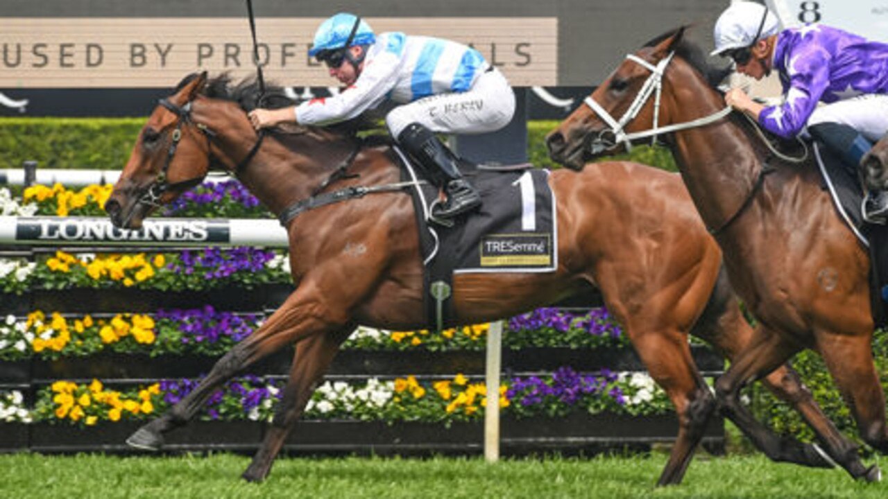 2021 Surround Stakes Result And Replay Racenet