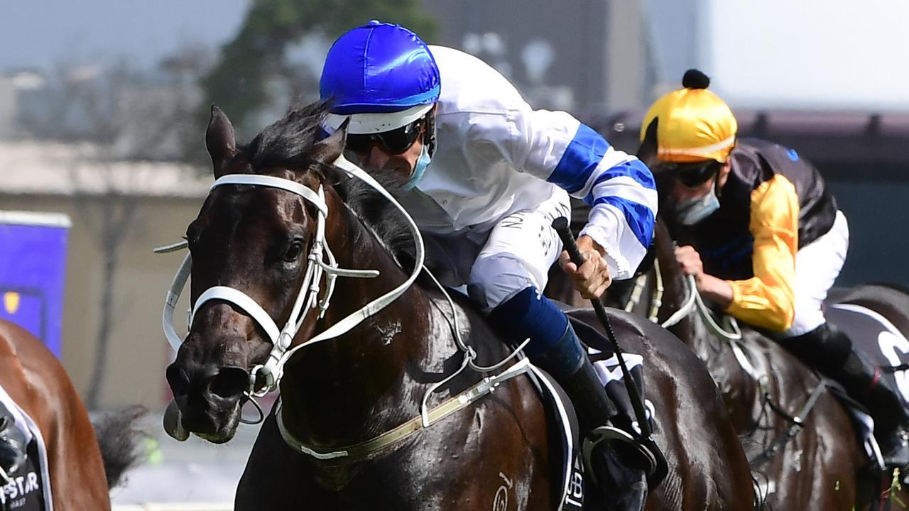 Hugh Bowman rode Shaquero to victory in the Magic Millions 2YO Classic. Picture: Trackside Photography