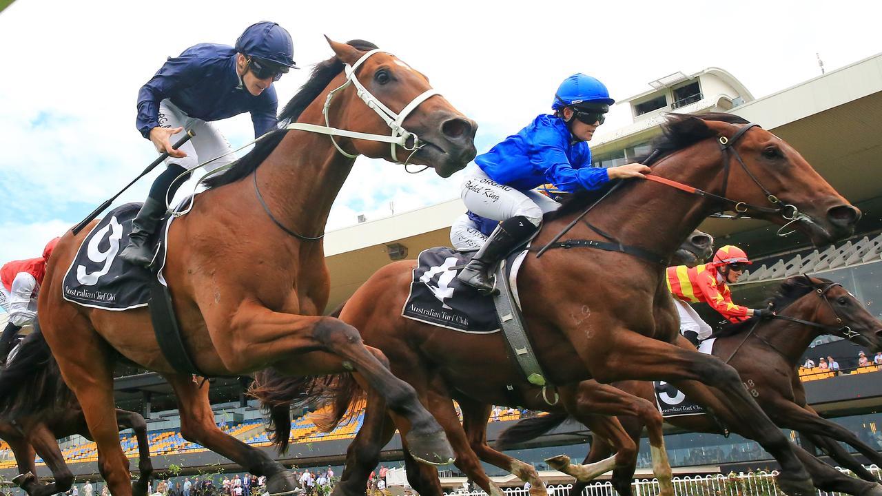 Home Affairs (navy) can highlight his Golden Slipper credentials this Saturday. Photo: Mark Evans/Getty Images