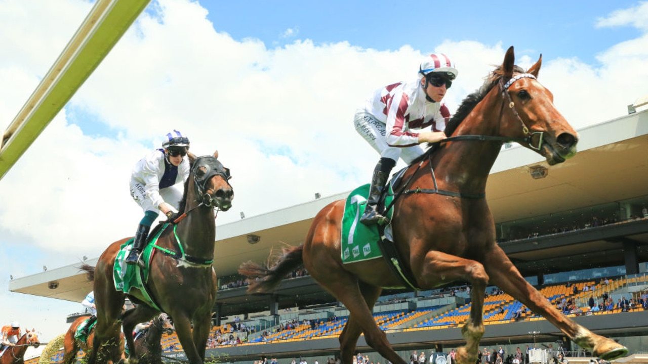 Art Cadeau is the hot favourite for the SERA Country Championships Qualifier. (Photo by Mark Evans/Getty Images)