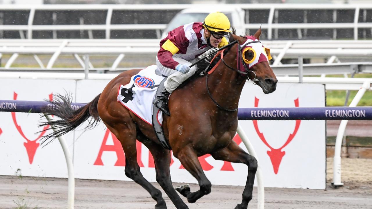 Fierce Impact (JPN)will be retired to stud at the end of this season. Photo: Reg Ryan/Racing Photos via Getty Images