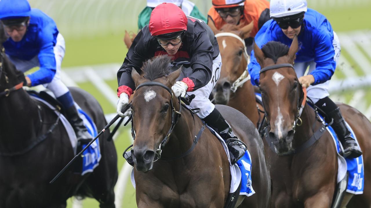 Tilianam will be given her chance to make the Golden Slipper field. Picture: Mark Evans/Getty Images