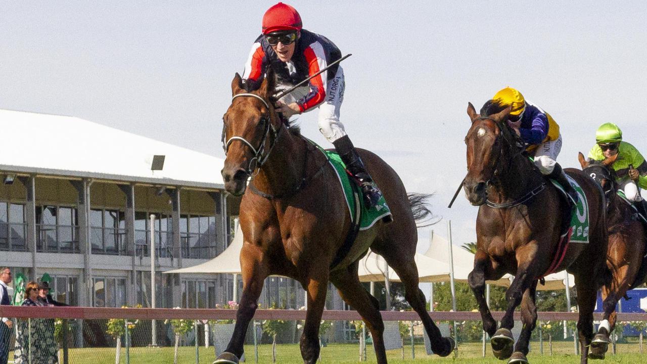 Serious Spender will line up in the Birthday Cup. Picture: Atkins Photography