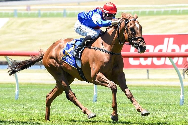 Mosh Music was back to her best at Sandown and she’s got more to come.