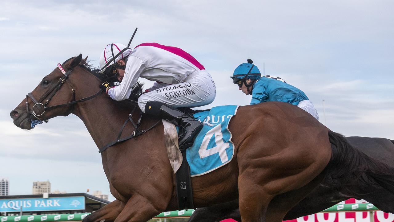 In His Stride will be looking for victory in his sixth straight Magic Millions appearance. Picture: Greg Irvine.