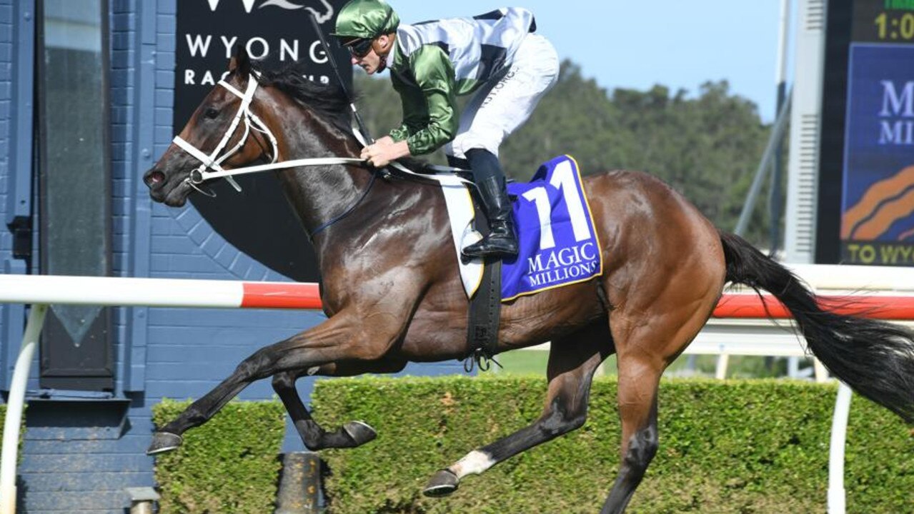 She’s All Class winning the Wyong Magic Millions. Picture: Steve Hart Photographics