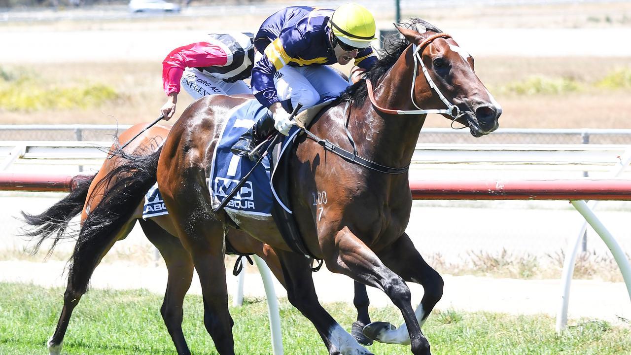 Noel Callow lands Diamonds’n’stones a clear winner of the MC Labour Maiden Plate at Kilmore. Picture: Pat Scala/Racing Photos via Getty Images