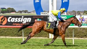 Lightly-raced Feuermond is a strong chance over 2000m at Flemington on Friday. Picture: Alice Miles/Racing Photos via Getty Images