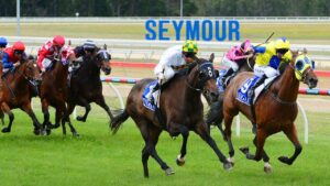 There’ll be no racing at Seymour in the forseeable future. Picture: Zoe Phillips