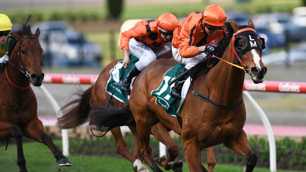 Gold Fields has won at The Valley — the venue of next year’s All-Star Mile.