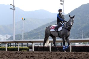 Classique Legend takes it in at Sha Tin.