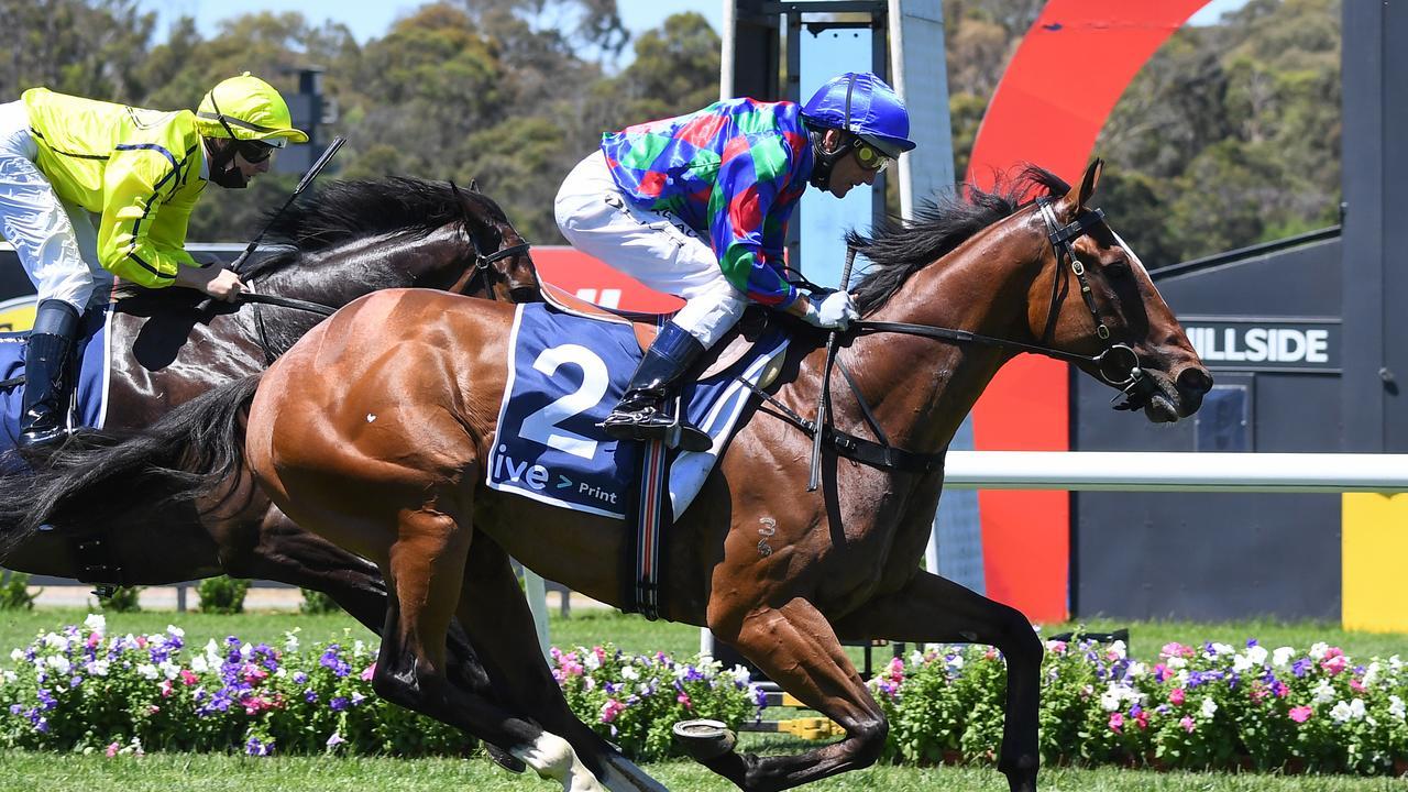 Chief Altony winning at Sandown Hillside last month. Picture: Racing Photos via Getty Images