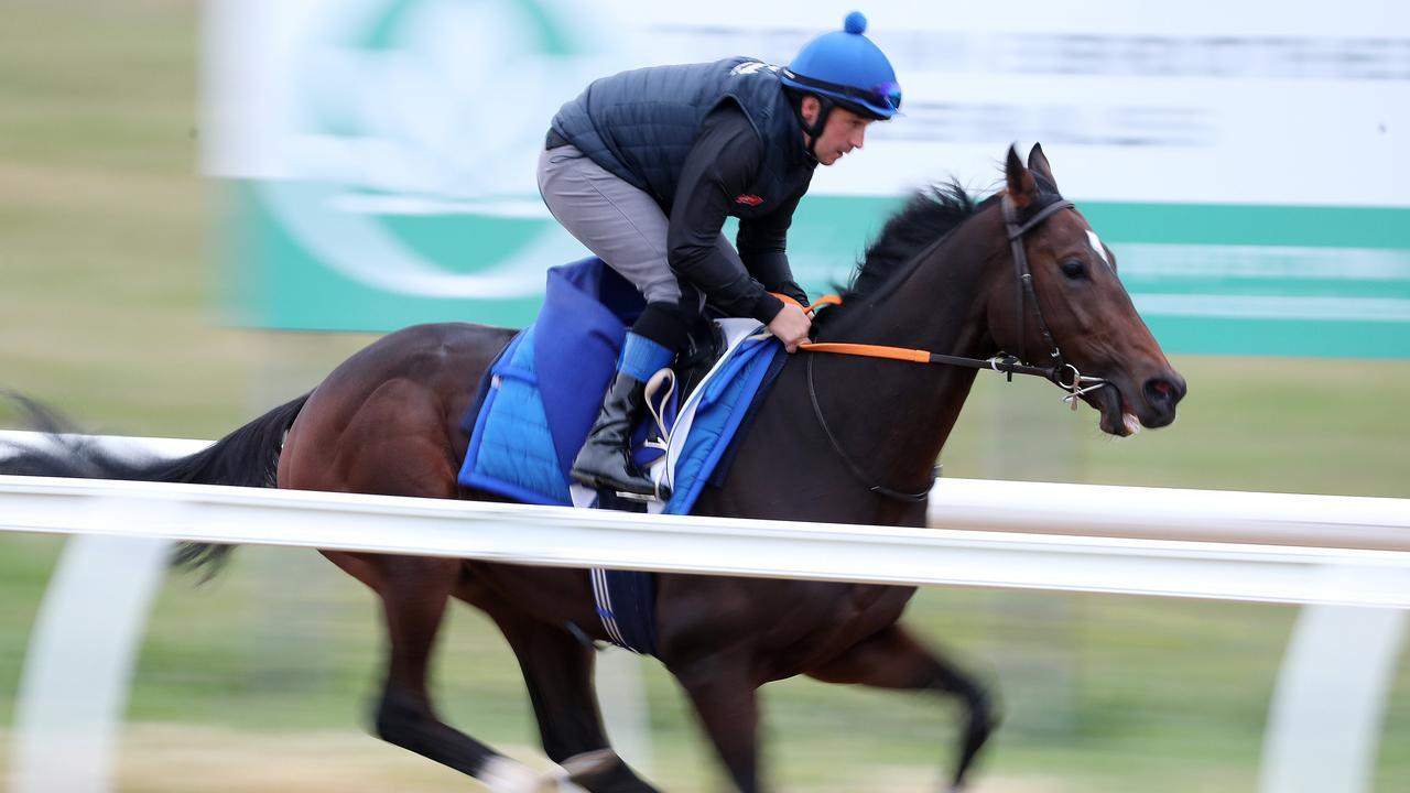 Danceteria working on the dirt track ar Werribee. Photo: Micheal Klein