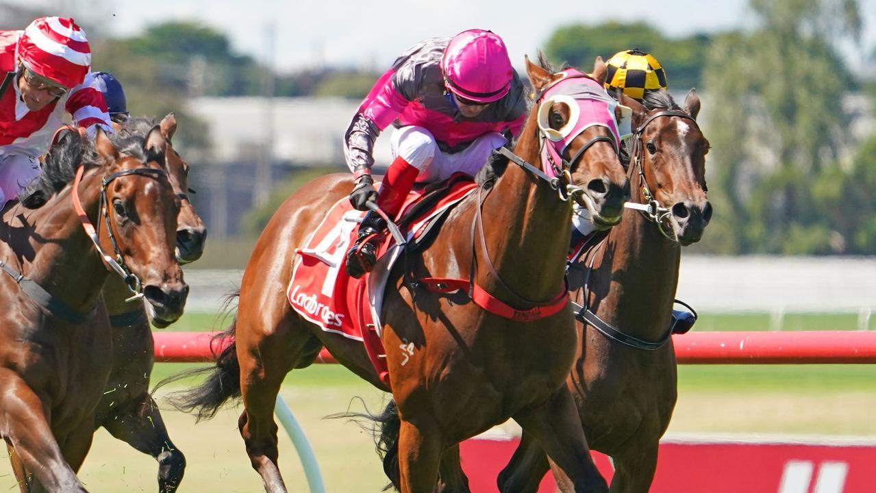 Allibor ridden by Dean Yendall wins the Ladbrokes Sandown Guineas at Ladbrokes Park Hillside Racecourse before his sale to Hong Kong interests. Photo: Scott Barbour/Racing Photos via Getty Images.