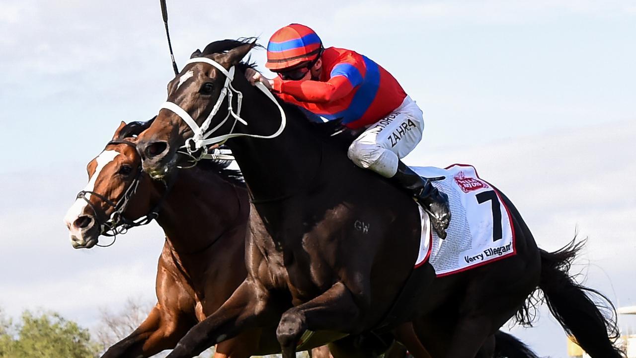 Verry Elleegant’s win in the Caulfield Cup helped catapult Charlie’s team up the leaderboard. Picture: Racing Photos via Getty Images