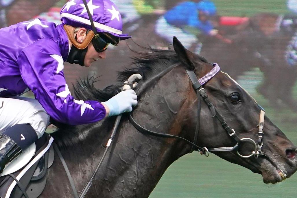 Cameron Happ Dissects Saturday s Sandown Meeting Racenet