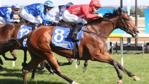 Missile Mantra winning at Ballarat. Picture: Getty Images