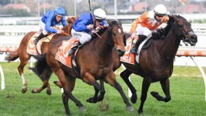 The Pro Punter is keen on Savatiano at Rosehill. Pat Scala/Racing Photos via Getty Images