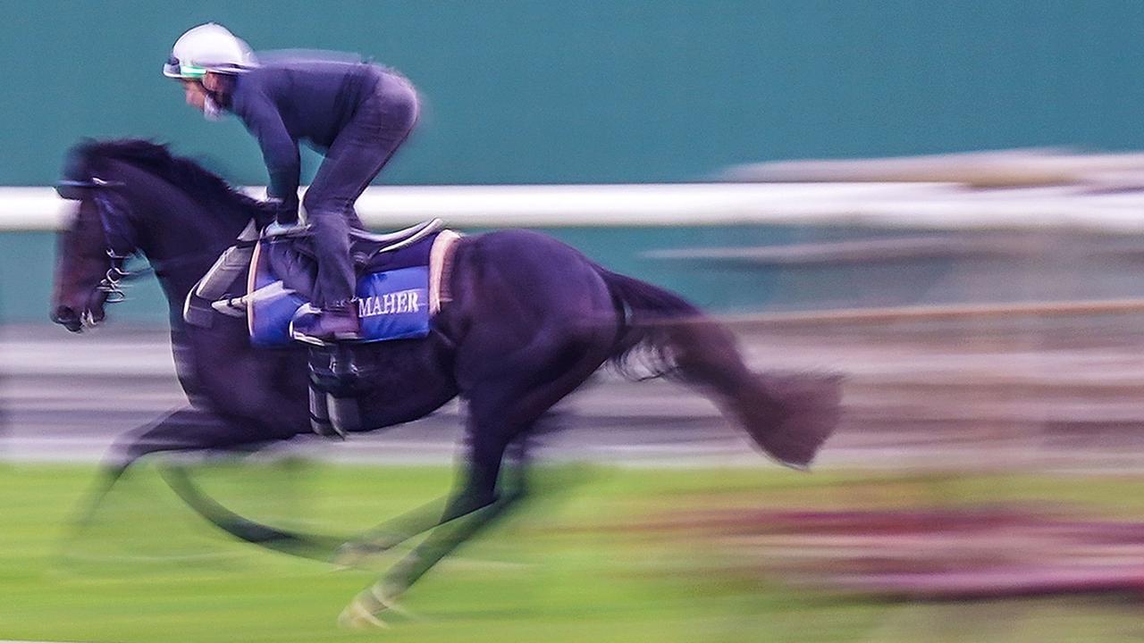 Will Sir Dragonet be a blur in Tuesday’s Melbourne Cup? Scott Barbour/Racing Photos via Getty Images