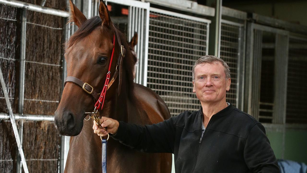 Trainer David Vandyke is hoping Alligator Blood can bounce back to his best in the Golden Eagle.